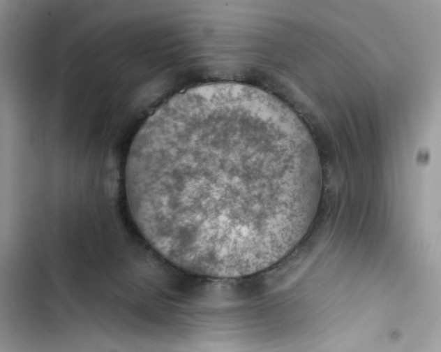 X0000103410080200810031256