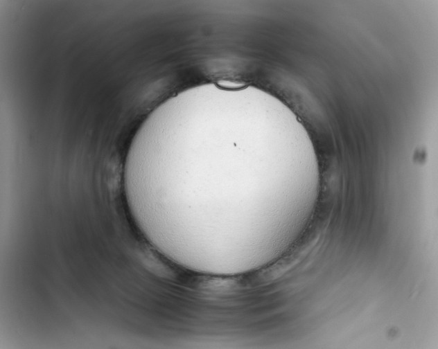 X0000103410081200810031256