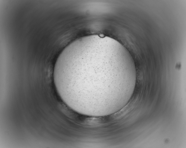 X0000103410082200810031256