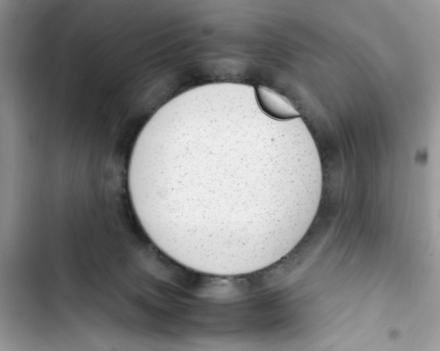 X0000103410083200810031256