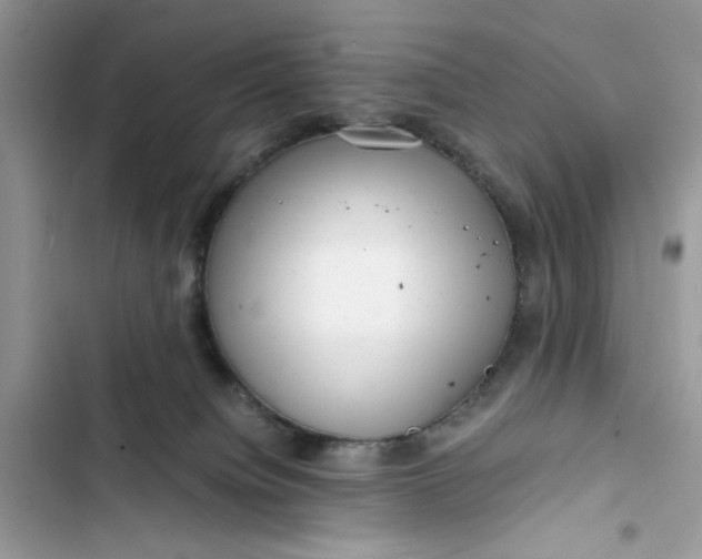 X0000103410084200810031256