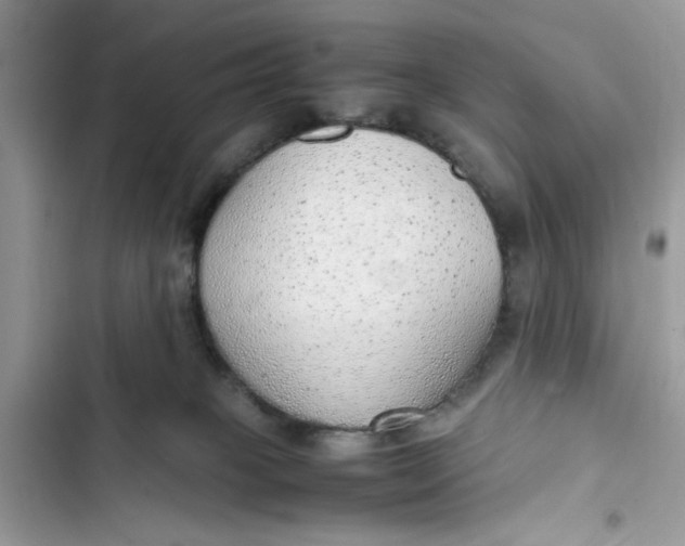 X0000103410085200810031256