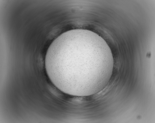 X0000103410086200810031256