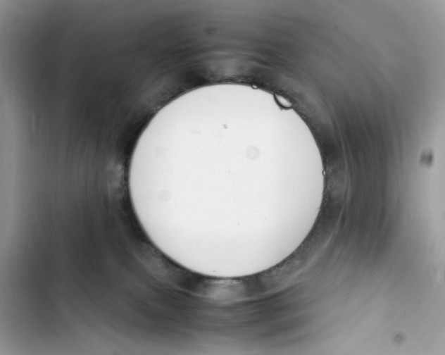 X0000103410087200810031256