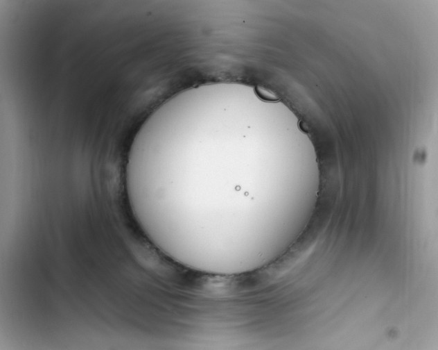 X0000103410088200810031256