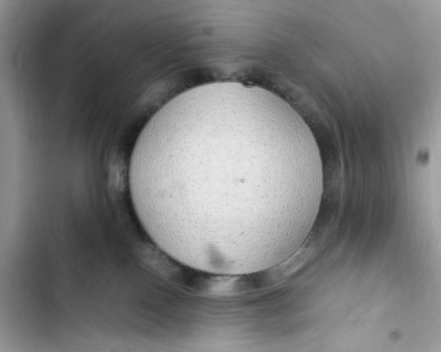 X0000103410090200810031256