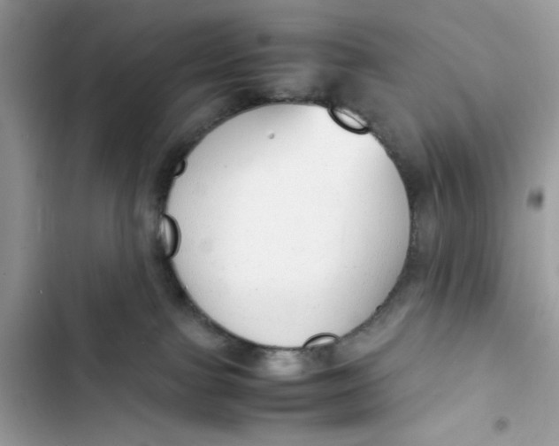 X0000103410091200810031256