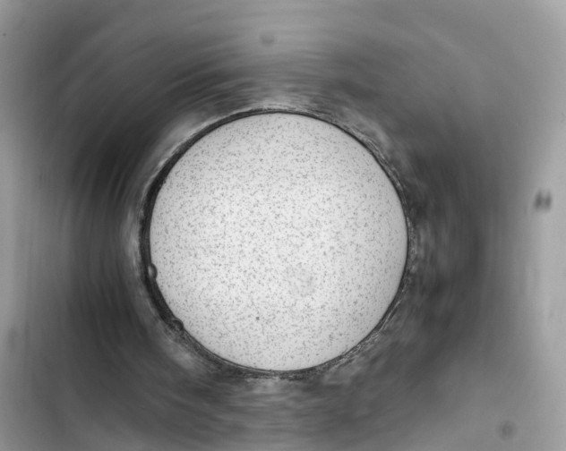 X0000103410098200810031255