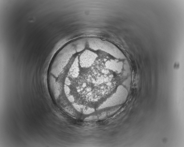 X0000103410099200810031255