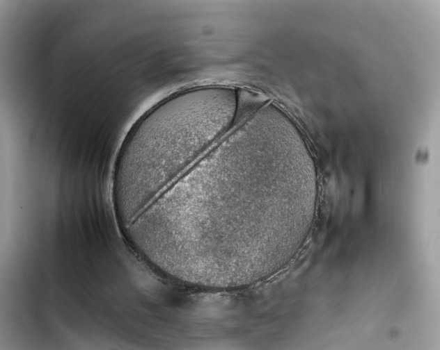 X0000103410100200810031255