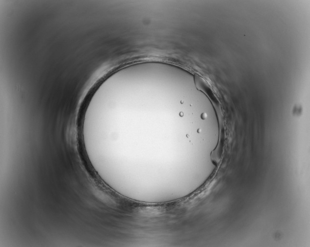 X0000103410102200810031255