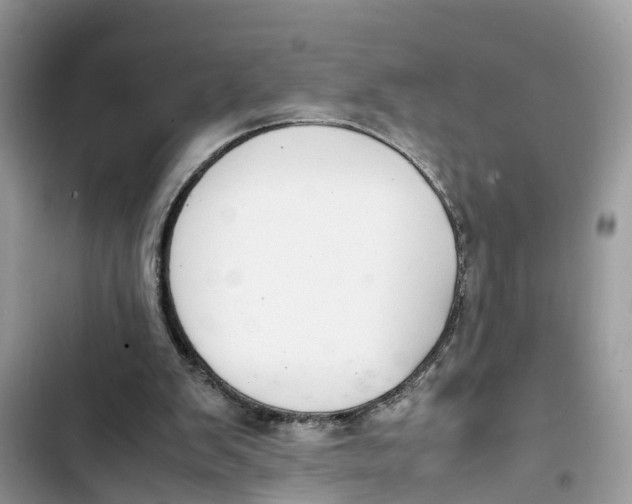 X0000103410103200810031255