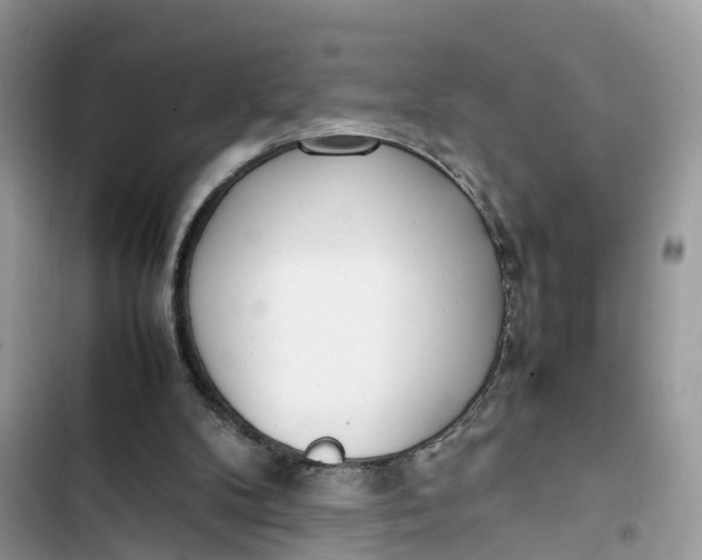 X0000103410104200810031255