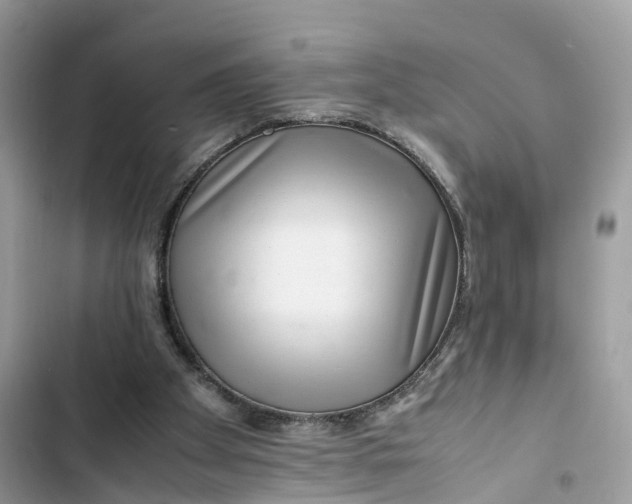 X0000103410105200810031255