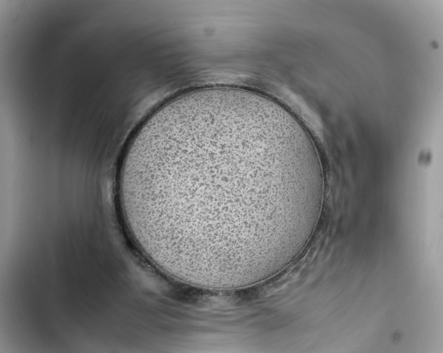 X0000103410107200810031255