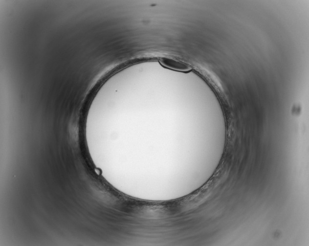 X0000103410108200810031255