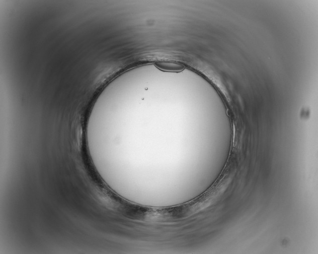 X0000103410109200810031255