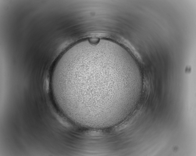 X0000103410110200810031255