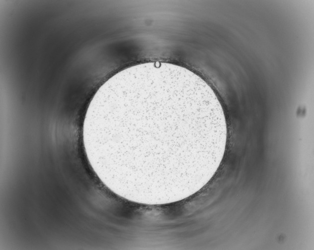 X0000103410113200810031255