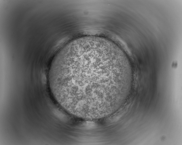 X0000103410114200810031255