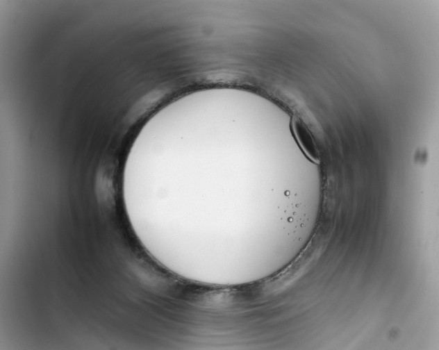 X0000103410116200810031255