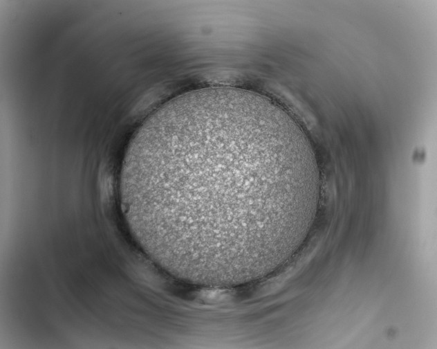 X0000103410117200810031255