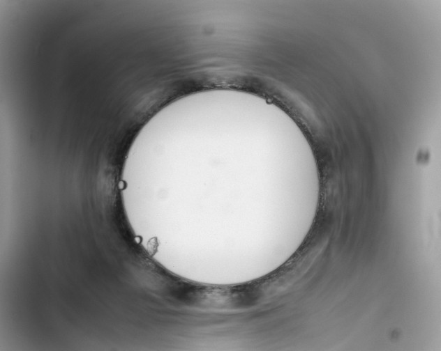 X0000103410121200810031255