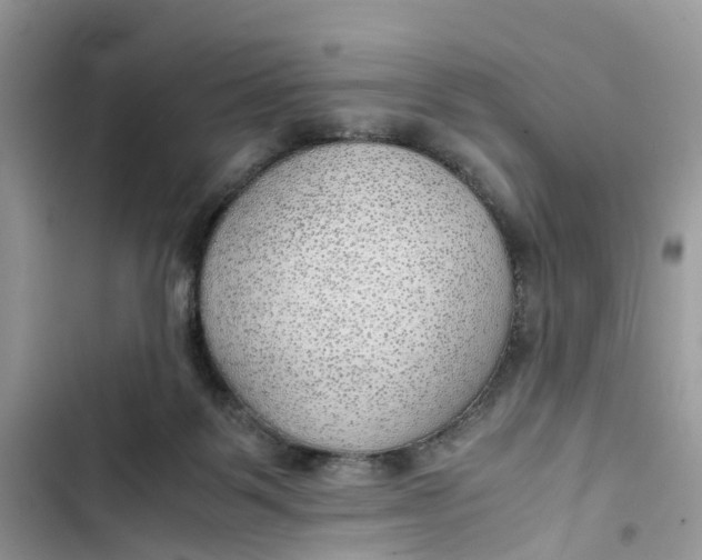 X0000103410123200810031255