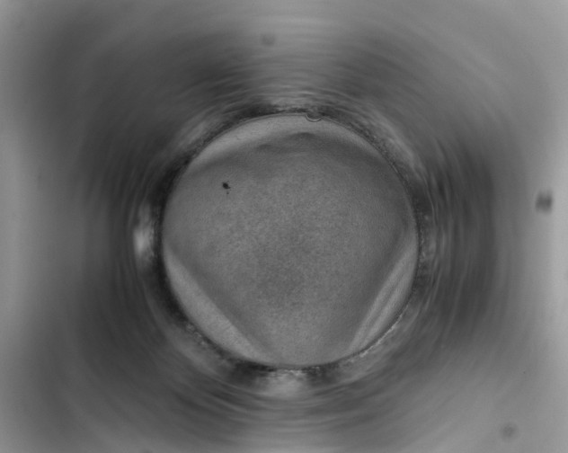 X0000103410124200810031255