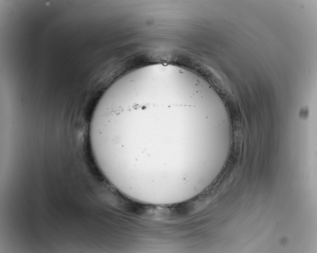 X0000103410125200810031255