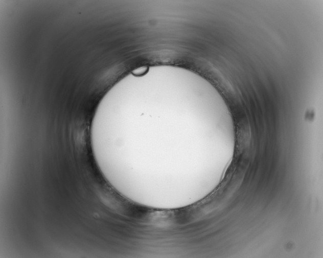 X0000103410126200810031255