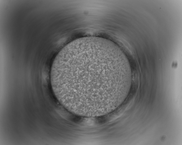 X0000103410127200810031255