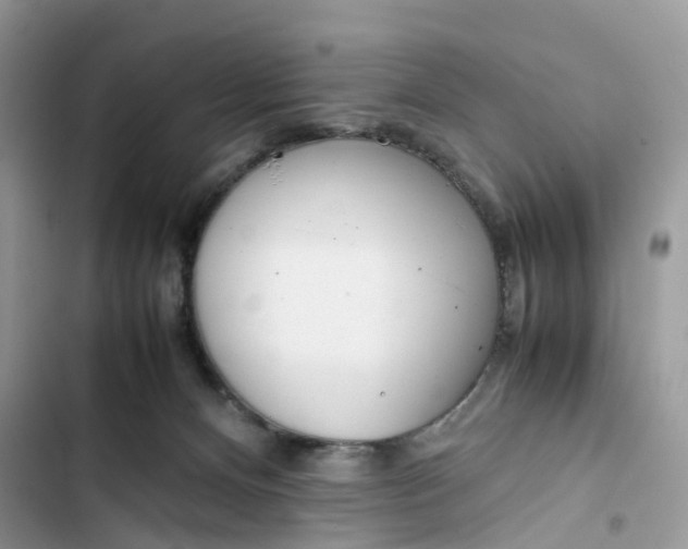 X0000103410128200810031255