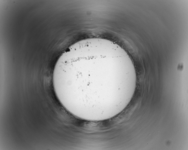 X0000103410129200810031255