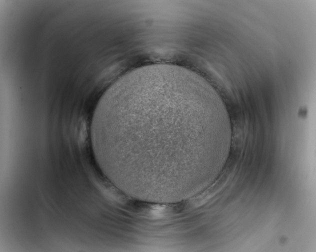 X0000103410130200810031255