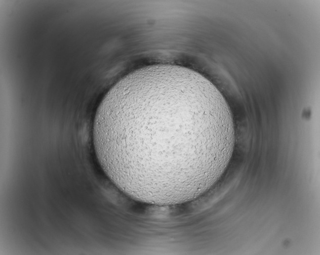 X0000103410131200810031255