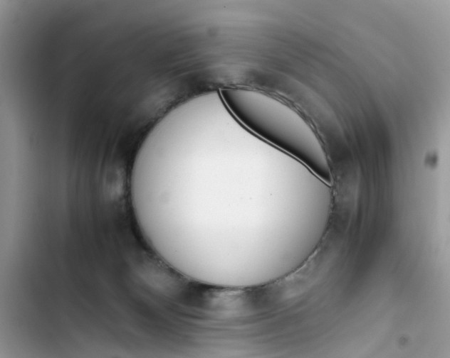 X0000103410132200810031255