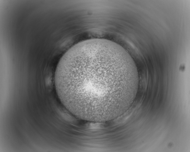 X0000103410134200810031255