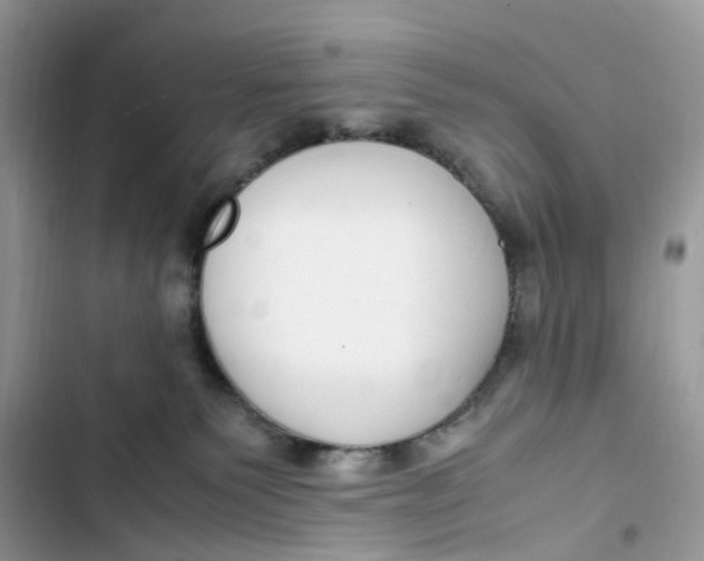 X0000103410135200810031255