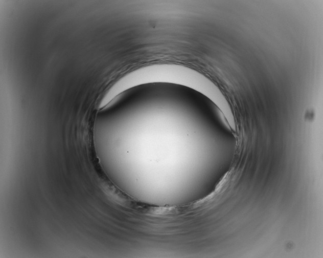 X0000103410136200810031255