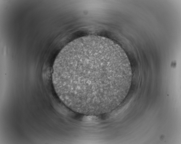 X0000103410137200810031255