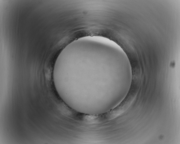 X0000103410139200810031255