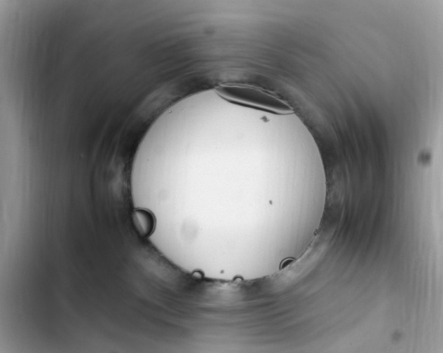 X0000103410140200810031255