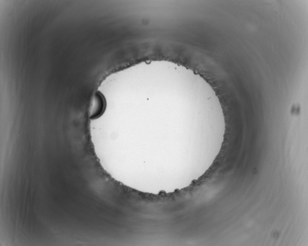 X0000103410144200810031255