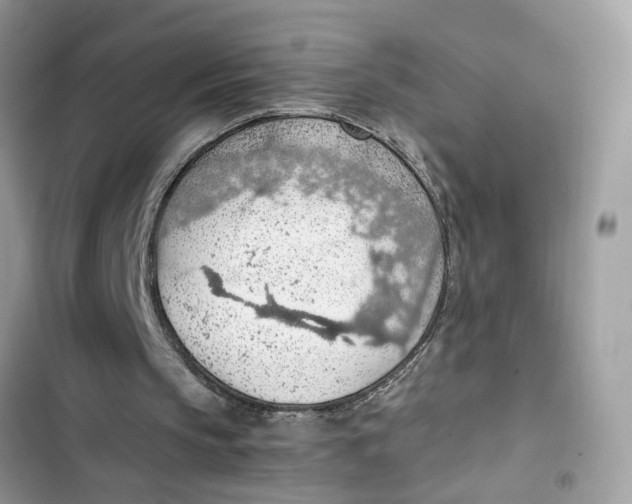 X0000103410145200810031254