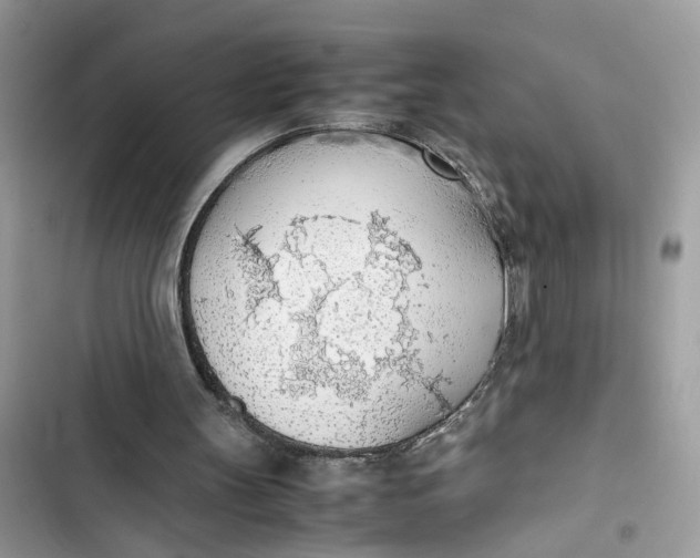 X0000103410147200810031254