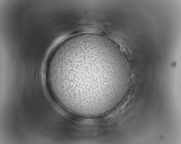 X0000103410149200810031254