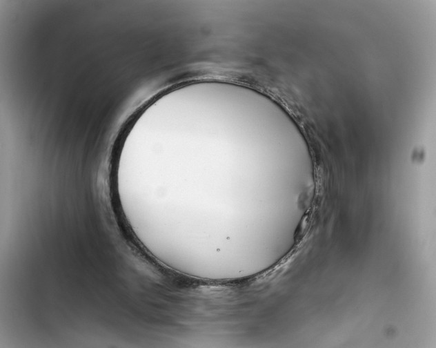 X0000103410150200810031254