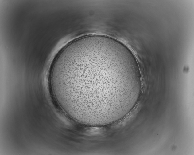 X0000103410151200810031254