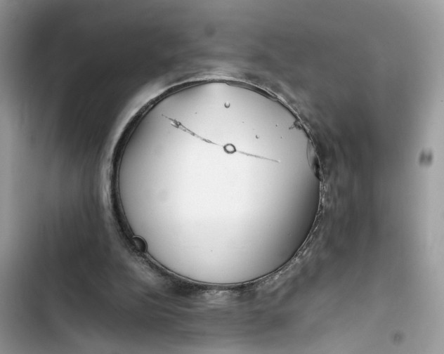 X0000103410152200810031254